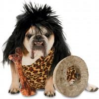 Волосатая собака в одежде древнего человека с костью и каменным колесом
