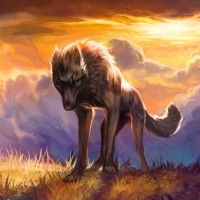 Нарисованный волк на фоне красивого неба с облаками