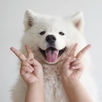 Радостная собака с детскими руками с жестом мира.