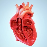 Картинка на аву сердца