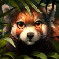 Аватар красные панды
