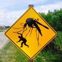 Картинка комары