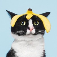Фотки с бананами