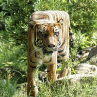 Аватар для ВК с тиграми