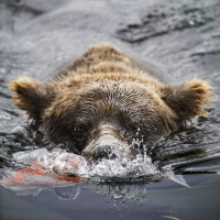 Фотогрфии с водой