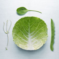Аватар для ВК с овощами