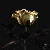 Аватар для ВК с розами
