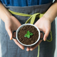 Аватар для ВК с растениями