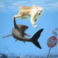 Картинки с акулами