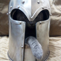 Серый кот сидит внутри шлема рыцаря и высовывает лапку через отверстие