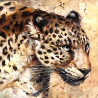 Красивый рисунок леопарда, который идёт с поджатыми ушами
