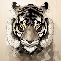 Контрастный рисунок морды тигра с поджатыми ушами.