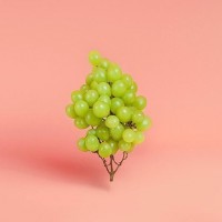 Картинка на аву виноград