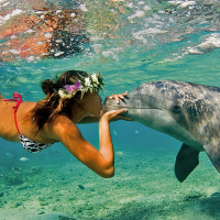 Девушка с венком на голове целует дельфина под водой