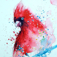 Нарисованная акварельными красками красная птичка с хохолком