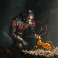Человек-муравей присел, чтобы поговорить о жизни с обычным муравьём