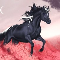 Чёрная лошадь с белыми прядями бежит по полю красных цветов