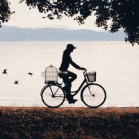 Авы Вконтакте с велосипедами