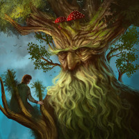 Аватарка деревья