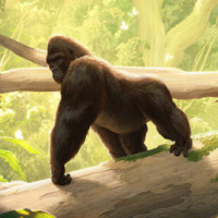 Аватар для ВК с обезьянами