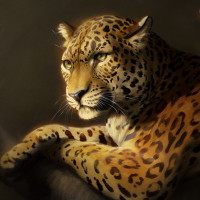 Картинка леопарды