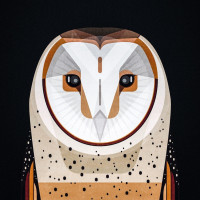 Аватар для ВК с совами