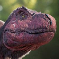 Картинка на аву динозавры