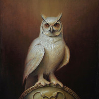 Owls images