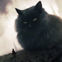Огромный пушистый кот преграждает дорогу воину с мечом