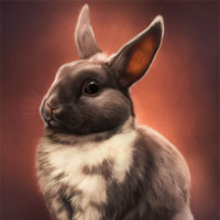 Аватар кролики