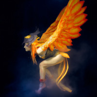Аватар Phoenix