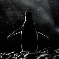 Аватарка пингвины