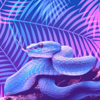 Авы Вконтакте с змеями