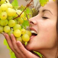 Картинка виноград