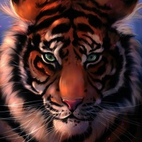 Картинки с тиграми