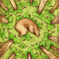 Картинка на аву медведи
