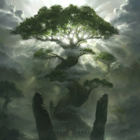 Аватар для ВК с деревьями