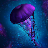Картинка медузы