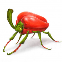 Аватар для ВК с жуками