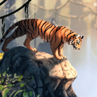 Тигр стоит на большом камне и смотрит вниз