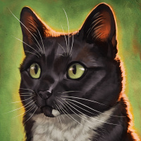 Картинка коты