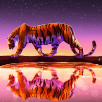 Тигр с опущенной головой идёт рядом с водой на фоне звёздного неба
