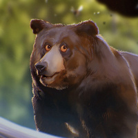 Аватарка медведи