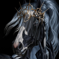 Картинка на аву лошади