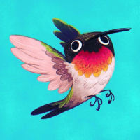 Аватары с колибри