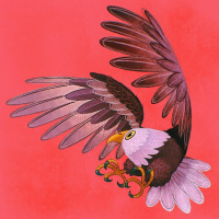 Картинка птицы