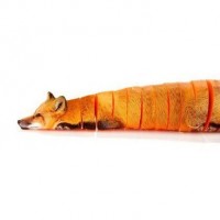 Картинка на аву морковь