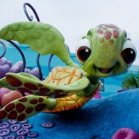 Аватар для ВК с черепахами