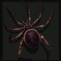Картинка на аву пауки