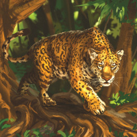 Аватар ягуары